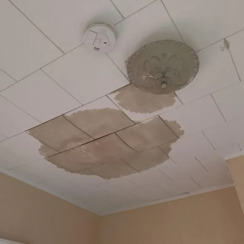 Ceiling Water Damage Repair in Mitchellville, IA