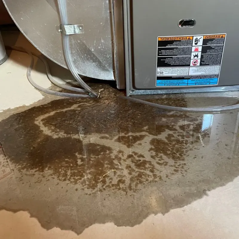 Pipe Burst and Leak Restoration in Mitchellville, IA