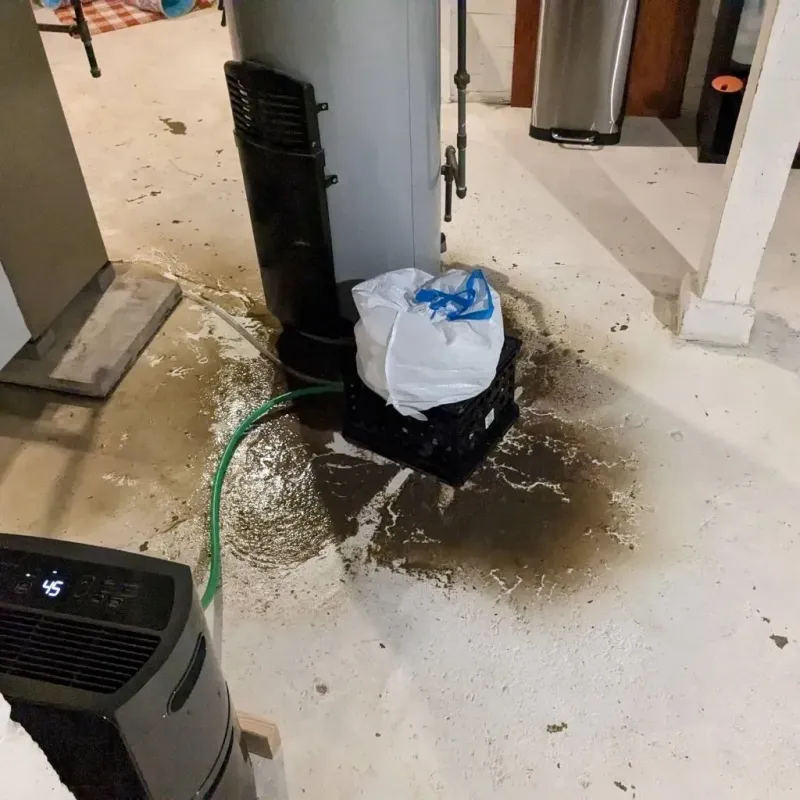 Sewage Backup Cleanup Service in Mitchellville, IA